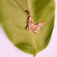 GehnaBuzz Cool Butterfly Pendant